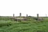 Buried reserve mast base (Nick Catford)