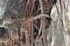 The 16' underground waterwheel (Nick Catford)