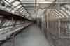 Bunks in one of the upper level shelter tunnels (Nick Catford)