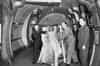 The Elgin Marbles being returned to the British Museum from Aldwych Station 1n 1948 