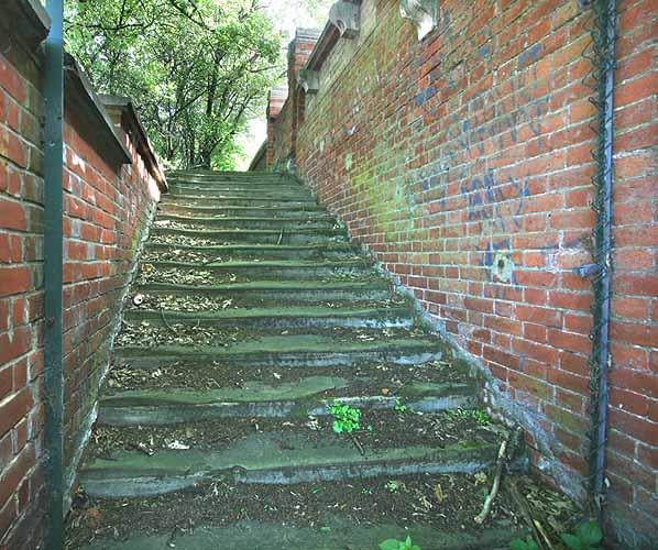 Steps down from the west side of Crystal Palace Parade into the High Level Station in July 2007 (Nick Catford)