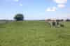 Stanton air raid shelter close to the receiver block (Nick Catford)
