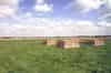 Transmitter buried reserve mast base (Nick Catford)