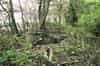 Unidentified circular structure in woodland near the receiver block. (This may have no connection with the radar station) (Nick Catford)