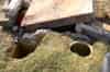 Ventilation pipes emerge at the surface adjacent to the escape hatch (Bob Jenner)