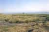 No. 3 gun pit (Nick Catford)