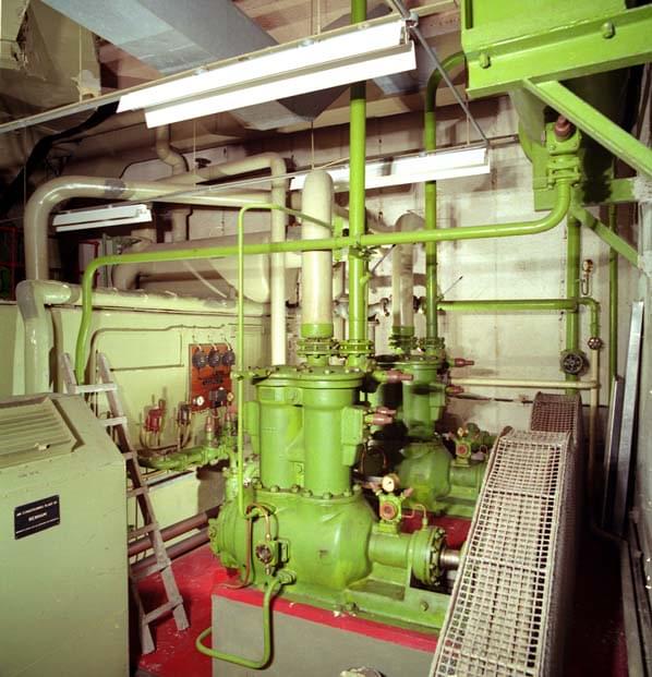 The Plant Room (Nick Catford)