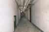 Lower level spine corridor (Nick Catford)