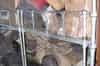 Dormitory with the bunks used as a shelf for stores (Bob Jenner)