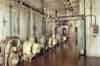 The flooded plant room (Nick Catford)