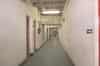 The lower spine corridor (Nick Catford)