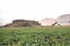 The Chain Home transmitter block with the fallen Ace High dishes behind (Nick Catford)