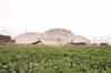 Parabolic dish antennas lying on the ground in 2003. The chain home receiver block can be seen on the left with the four concrete bases for one of the receiver towers on the right. The top of the extant transmitter tower can be seen in the background (Nick Catford)