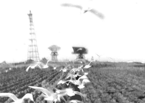 RAF Trimingham radars in the early 1950's, from left to right - Type 54 on a 200 foot tower, AN/FPS3, Type 80 & Type 13 