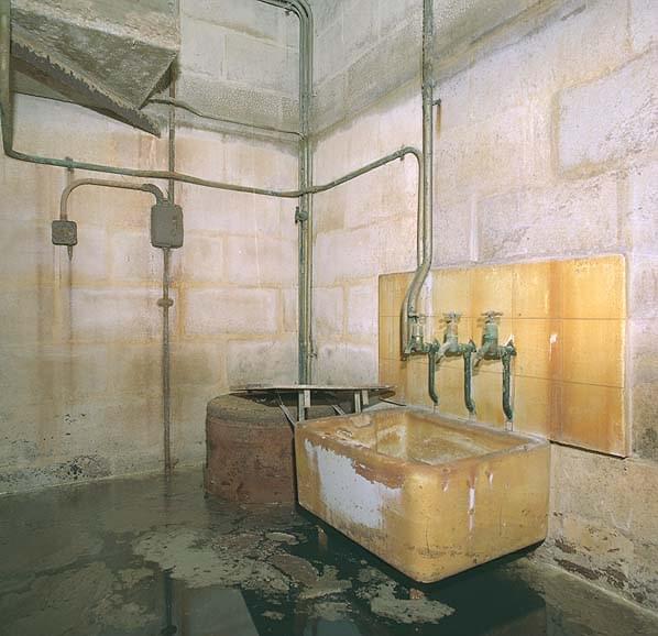 The kitchen (Nick Catford)