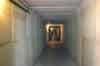 The entrance tunnel into the bunker (Nick Catford)