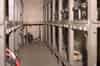 Battery room (Nick Catford)