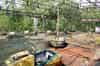 Pripyat - dodgems in the amusement park (Nick Catford)