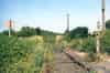 Looking east towards Golgotha Tunnel from Eythorne Road crossing in August 1984 (Nick Catford)