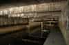Raised floor of wartime shelter (Chris Rayner)