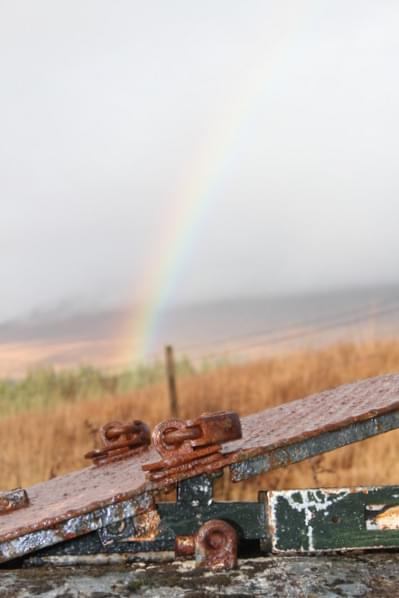 22.11.14 (Graeme Finlayson)