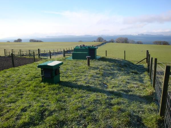 January 2019 (Frank Alexander)