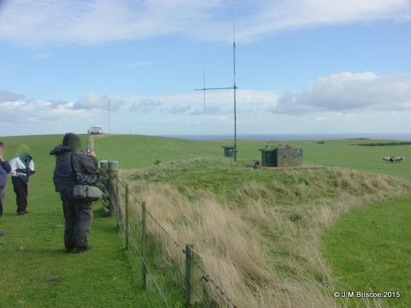 2004 (Martin Briscoe)