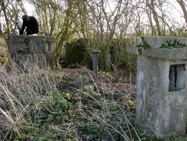 March 2012 (Rod Toms)