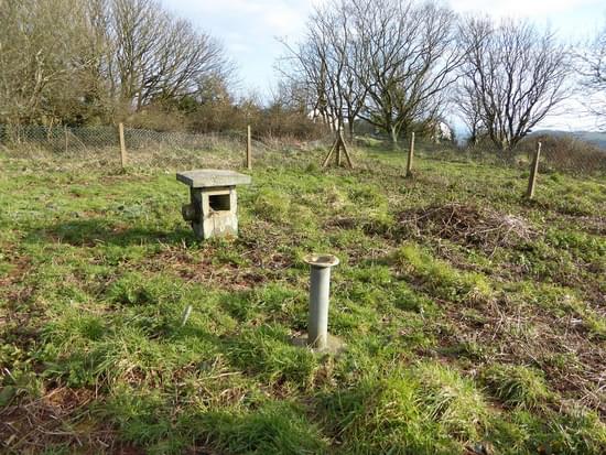 February 2016 (Ashley Smith)