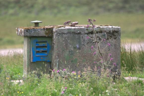 From the roadside 16.08.15 (Martin Briscoe)