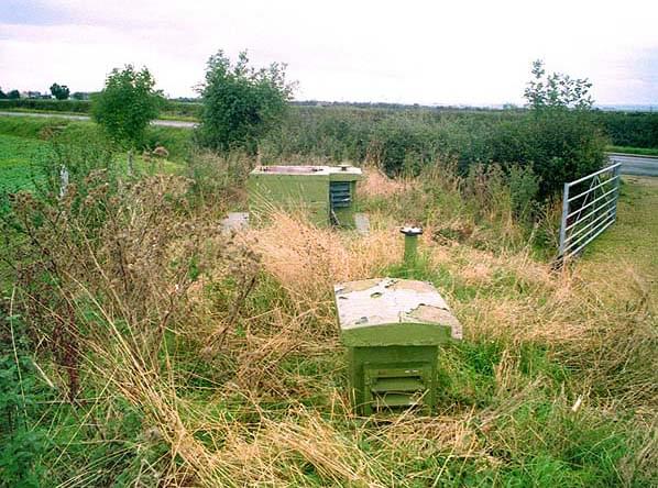 Billinghay Post in 1998 (Nick Catford)