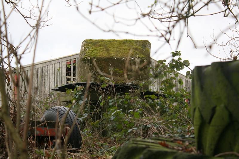 Selbourne ROC Post 14.01.19 (Mark Russell)