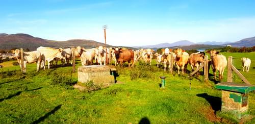 September 2019 (MEIRIONYDDPHOTO )