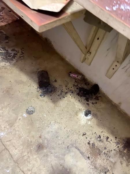 2020 - old images, date unknown 