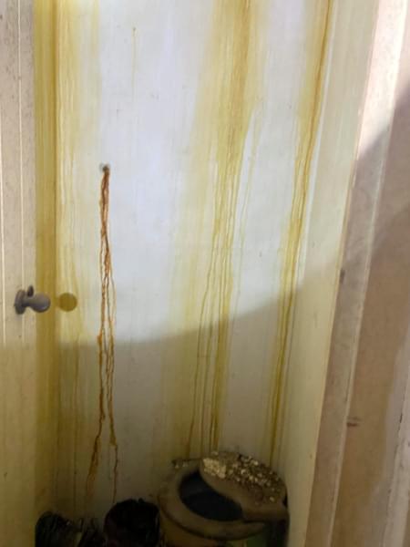 2020 - old images, date unknown 