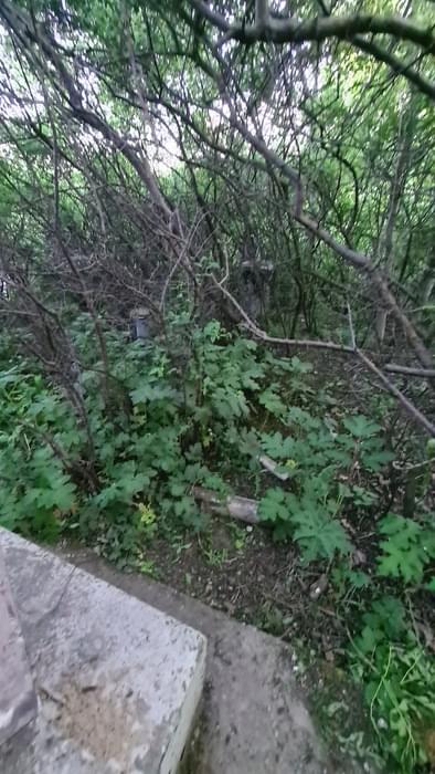 The post appears to have been filled with concrete. (Ewan Evans)