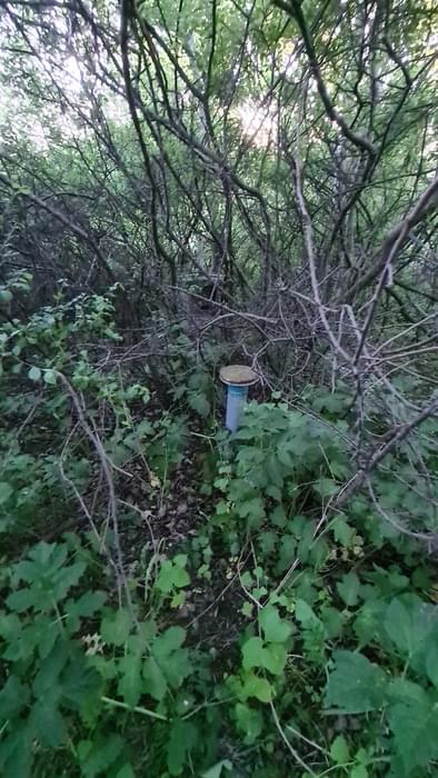 The post appears to have been filled with concrete. (Ewan Evans)