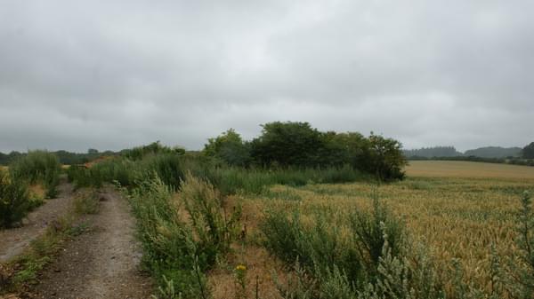 Clandon (Jack Watkins)