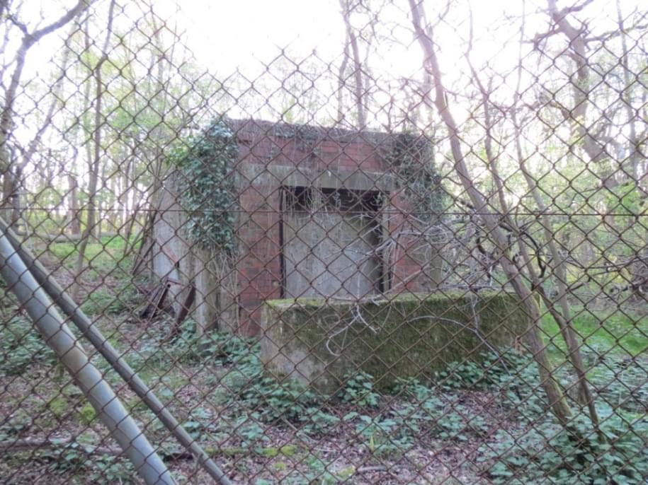 Emergency Exit above Warren Row April 2014 (Nick Pedley)