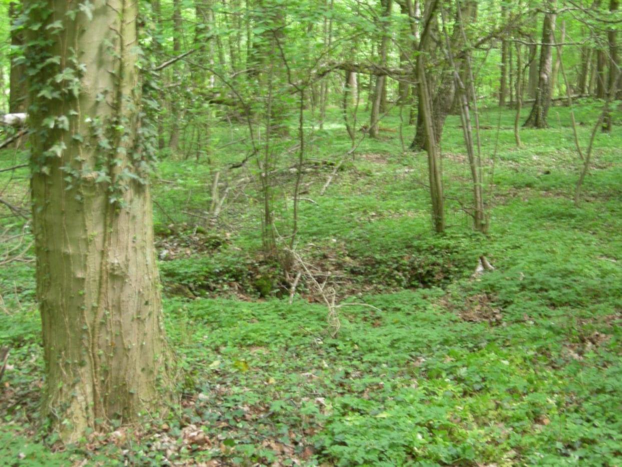 Surface depressions at Rijckholt show the location of former Flint Mines (Martin Dixon)