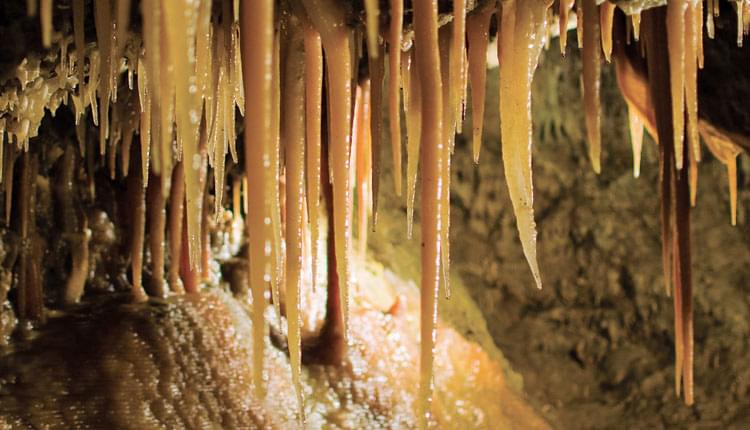 Stalactites (Treak Cliff Cavern)