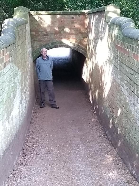 Western portal of Snobs' Tunnel, Hanbury Hall (Linda Dixon)