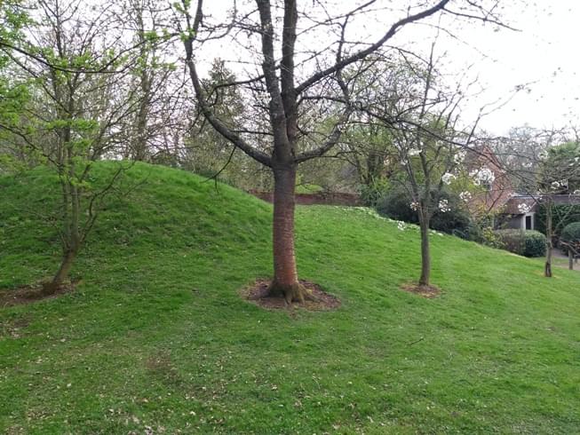 External view of Hanbury Hall Ice House.  The main chamber is under the mound to the left and the passageway is in the centre of the image. (Martin Dixon)