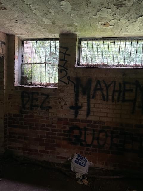 Interior - window + half-height door (Neil Iosson / 2021)