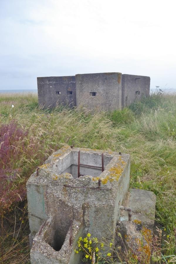 Out Newton 25.07.2021 (Justin Smith)