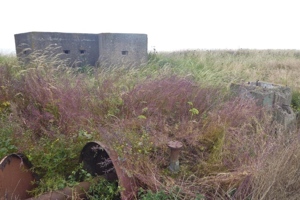 Out Newton 25.07.2021 (Justin Smith)