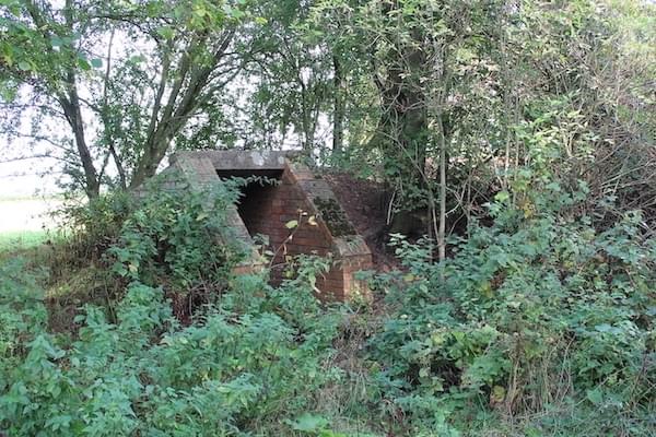 Shelter entrance (Tom Williams)