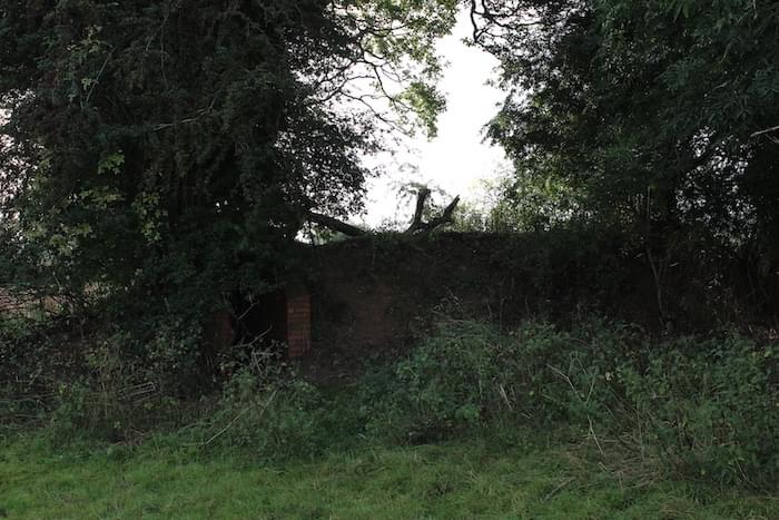 Shelter entrance (Tom Williams)