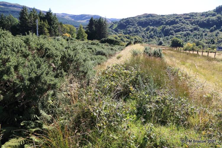 Royal Navy Oil Fuel Store - Ardintoul - Bund ? (Martin Briscoe)