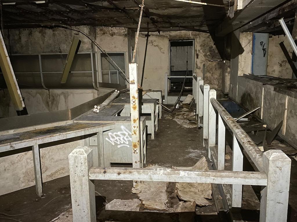 Main gallery area (Neil Iosson - 2021)